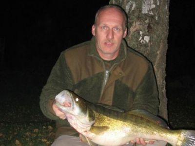 Zander, 87cm, 6,5kg gefangen im Oktober 2010 von Ulrich Bode in der Fulda.