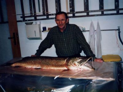 Hecht 1,32m, 15,8kg gefangen im Oktober 2002 von Erwin Fehrenbach im Stadtteich 1.