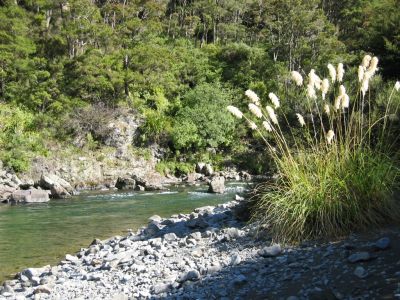 Ngaruroro-River.jpg