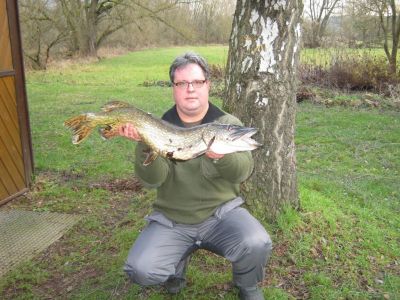 Hecht 88cm,  5,15kg,  gefangen im Dezember 2014 von Gerhard Schuettrumpf im Teich Wittig.