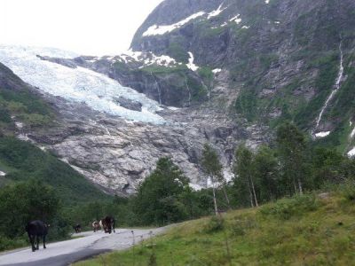 Gletscher mit Kuehen.jpg