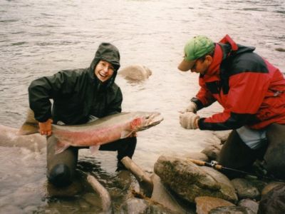 11-Steelhead.jpg