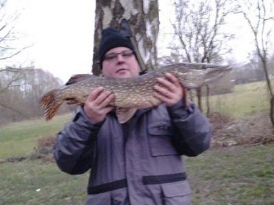 Hecht, 89cm,  4,55kg,  gefangen im Dezember 2014 von Gerhard Schuettrumpf im Teich Wittig.